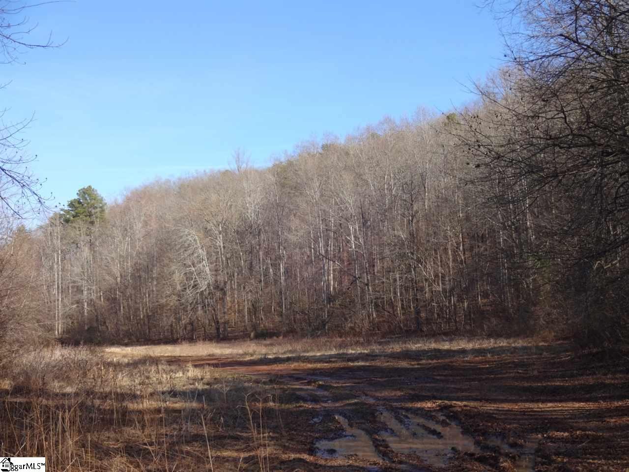 0 Old Settlement Road Travelers Rest, SC 29690 - Photo 8 of 36