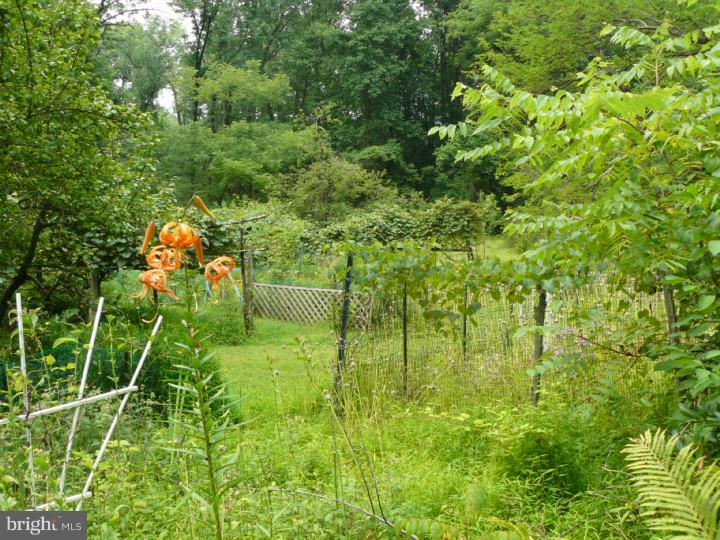 1458 Roundhouse Road Quakertown, PA 18951 - Photo 12 of 15 View in Back