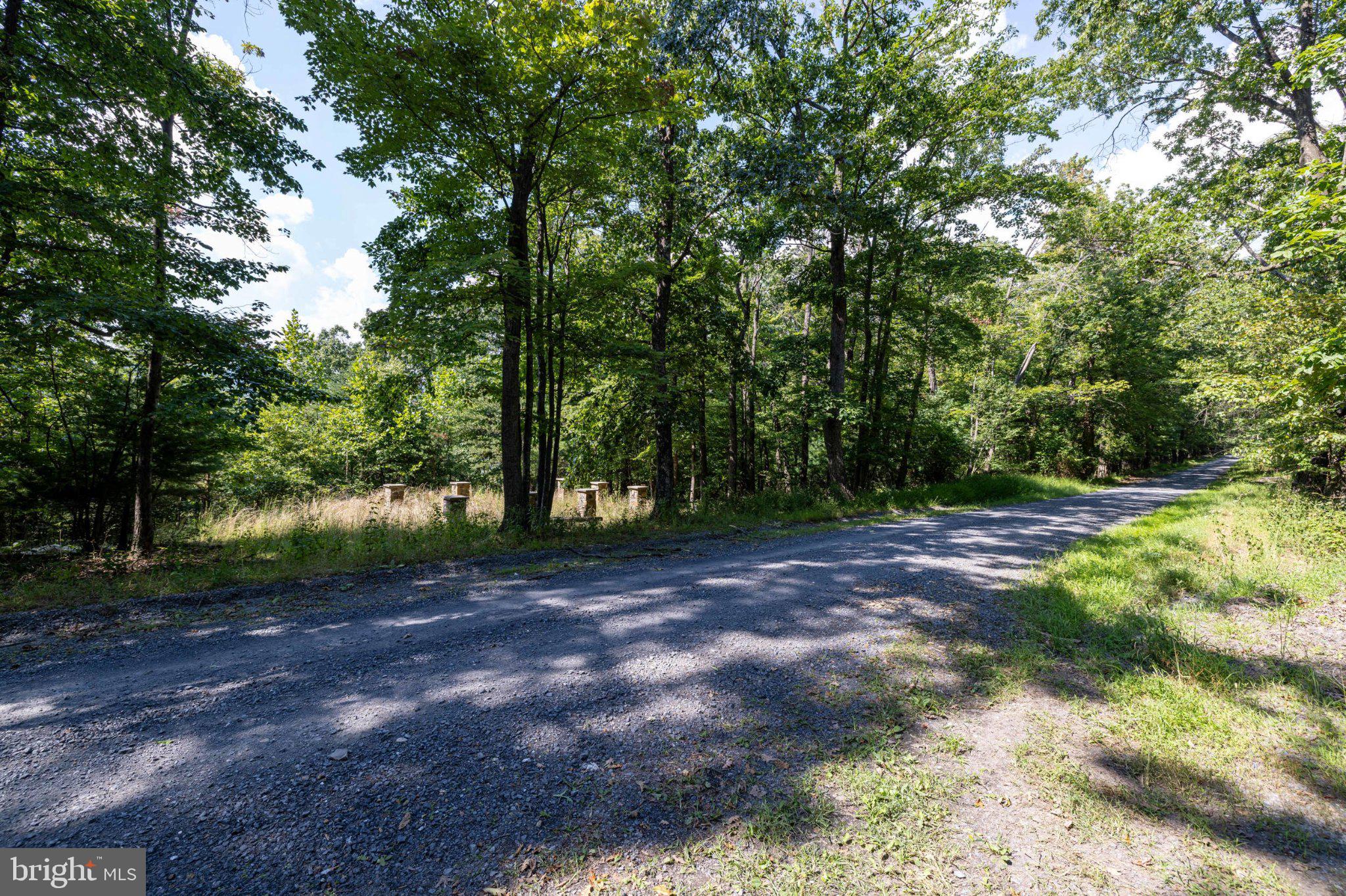 0 Supinlick Ridge Road Mount Jackson, VA 22842 - Photo 4 of 33 Gallery Image 4