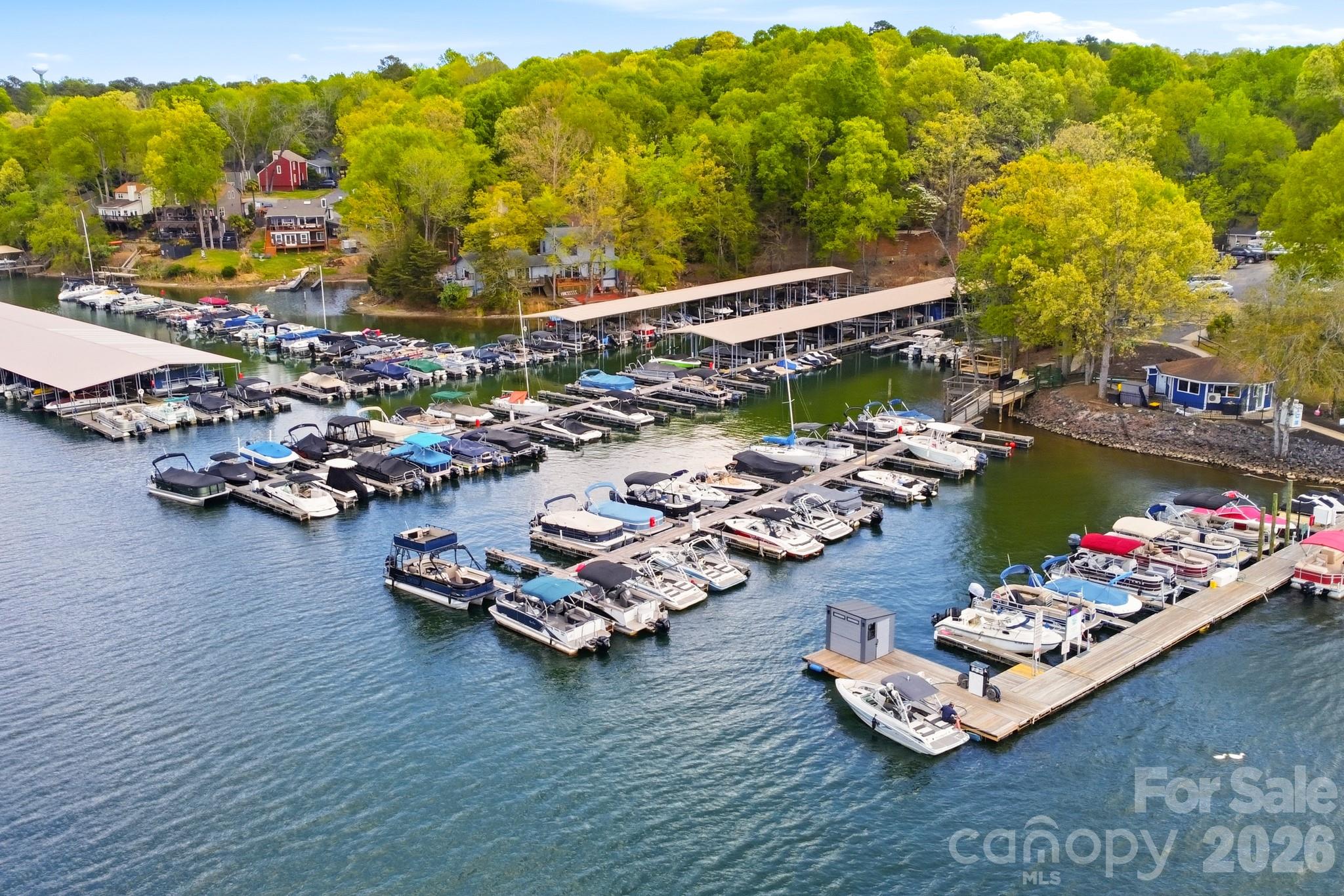 9101 Pitcairn Drive Tega Cay, SC 29708 - Photo 46 of 48