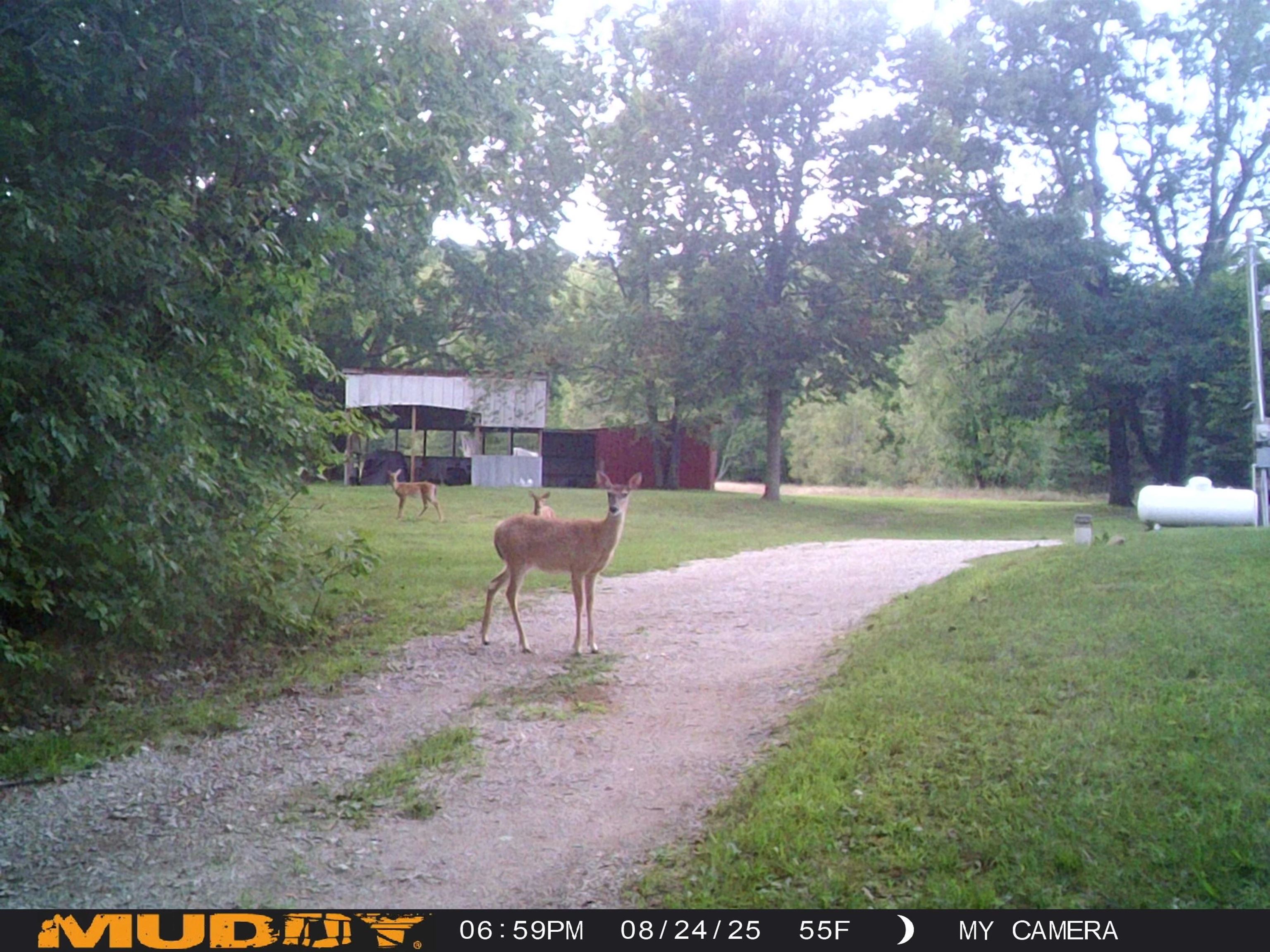 10694 Freeman Road Mesick, MI 49668 - Photo 16 of 39