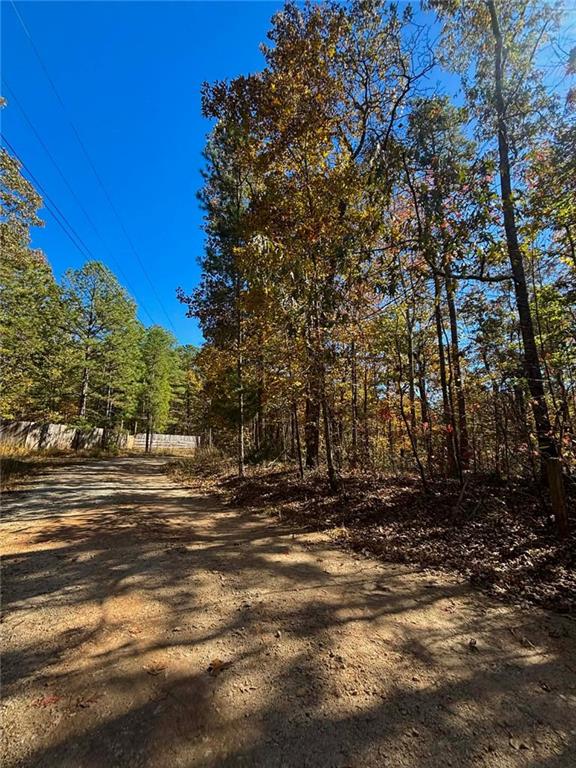 80 Beaver Run Road Waco, GA 30182 - Photo 15 of 17 a view of road with trees