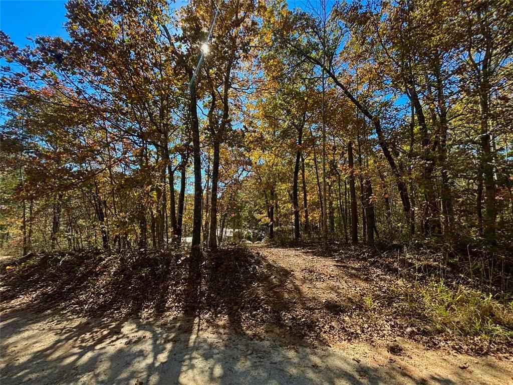 80 Beaver Run Road Waco, GA 30182 - Photo 16 of 17 a view of outdoor space and tree