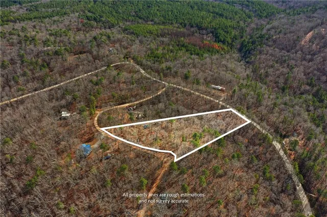 a view of a dry yard