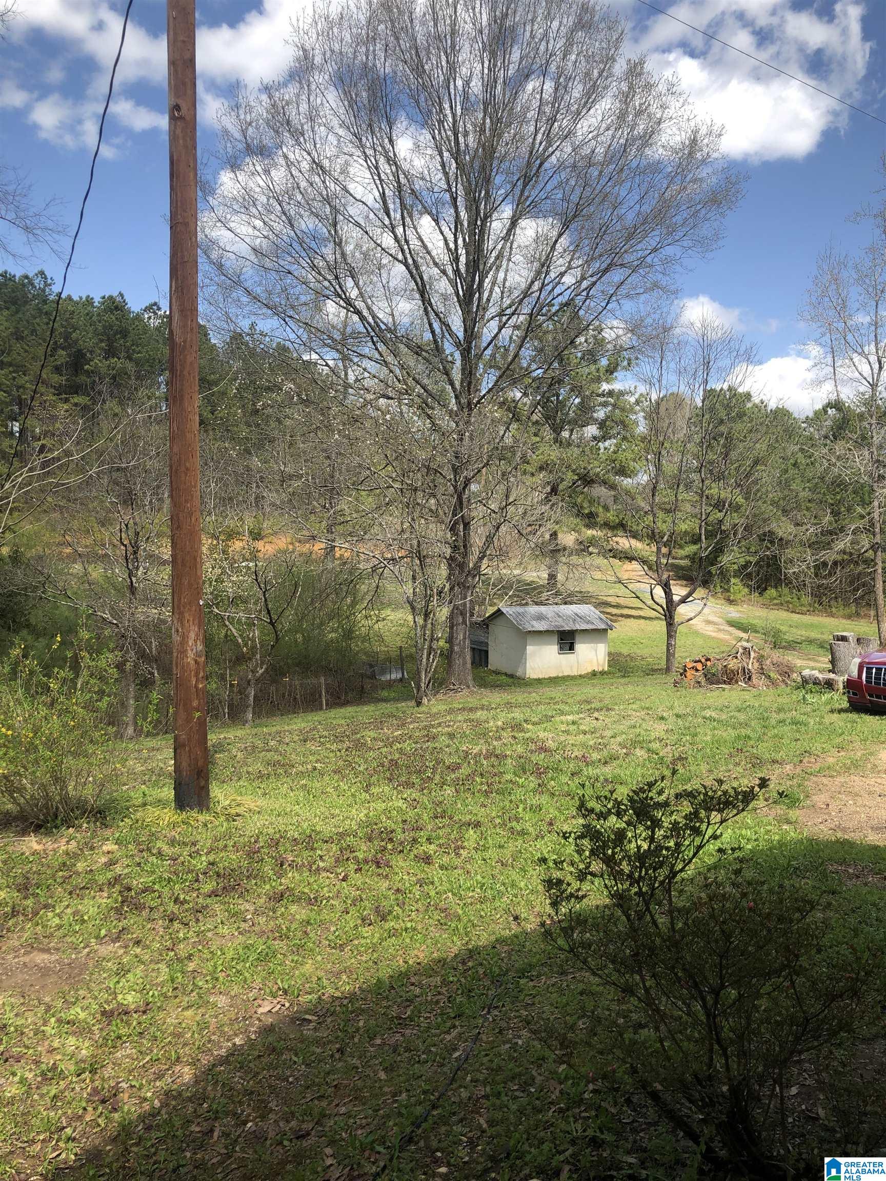 291 Miller Road Columbiana, AL 35051 - Photo 10 of 13