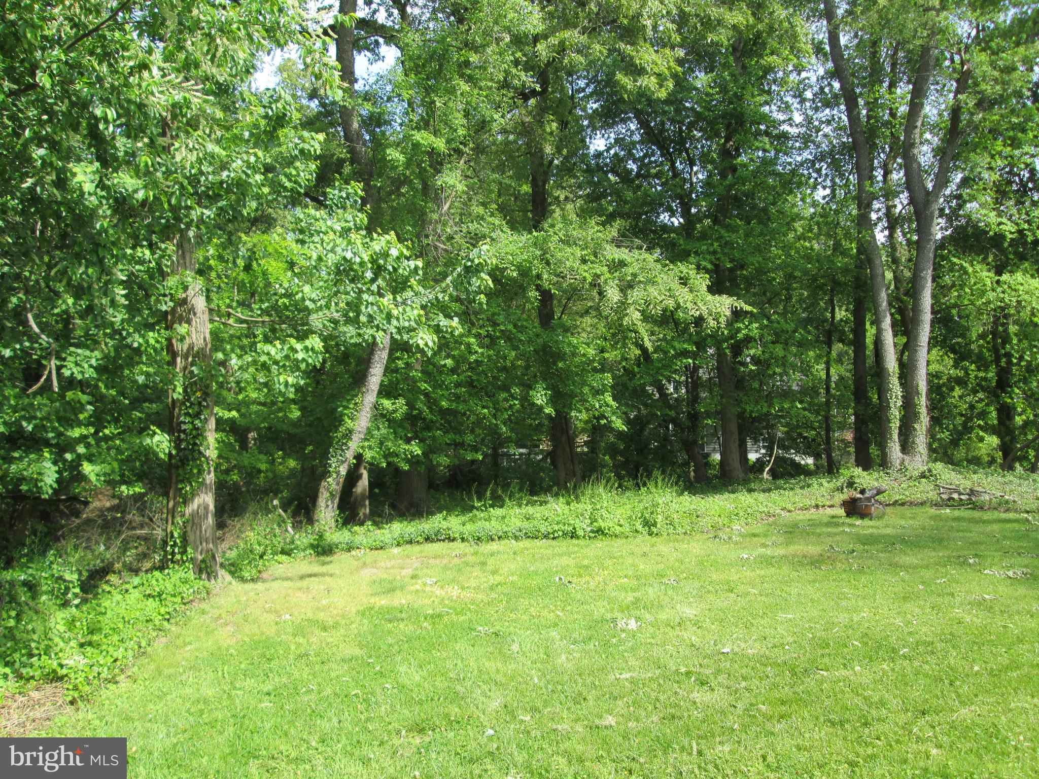 317 Covered Bridge Road Cherry Hill, NJ 08034 - Photo 17 of 20 Great back yard.