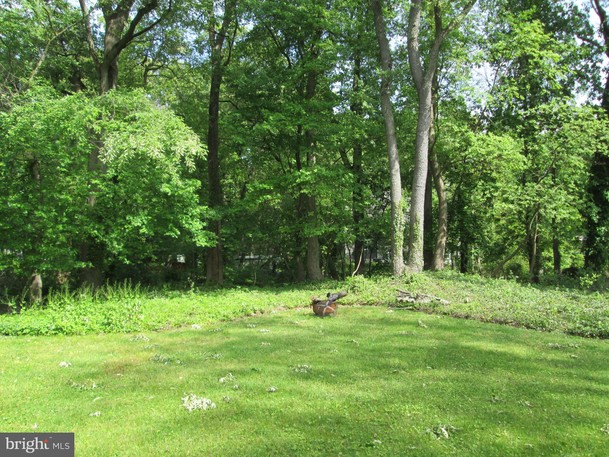 317 Covered Bridge Road Cherry Hill, NJ 08034 - Photo 19 of 20 Trees are deep and are a great buffer.