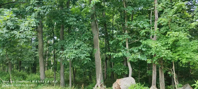 $2,500,000 | 11182 South County Road 280 West, Westport, IN 47283