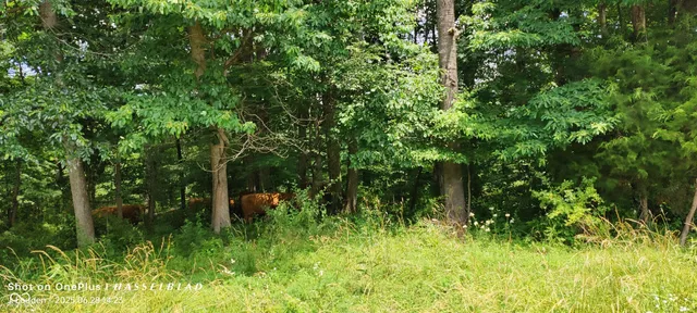 $2,500,000 | 11182 South County Road 280 West, Westport, IN 47283