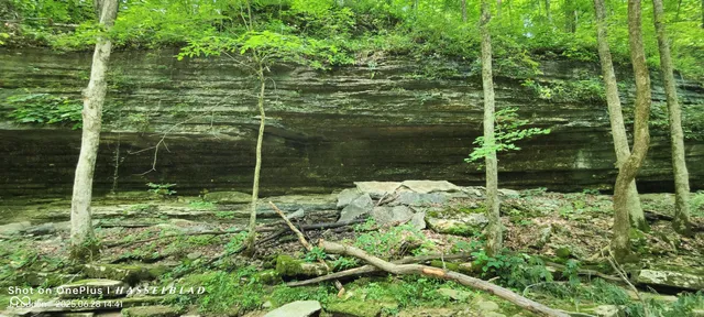 $2,500,000 | 11182 South County Road 280 West, Westport, IN 47283