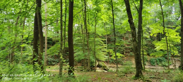 $2,500,000 | 11182 South County Road 280 West, Westport, IN 47283