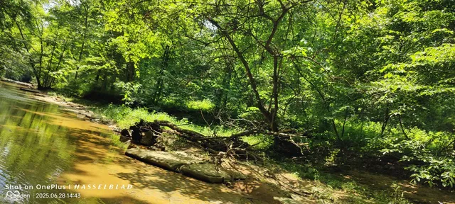 $2,500,000 | 11182 South County Road 280 West, Westport, IN 47283