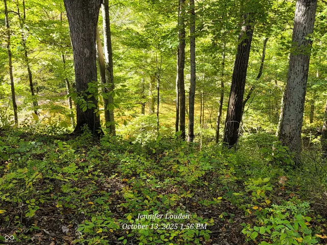 $2,500,000 | 11182 South County Road 280 West, Westport, IN 47283