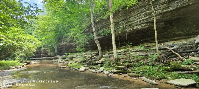 $2,500,000 | 11182 South County Road 280 West, Westport, IN 47283