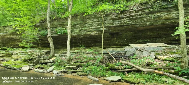 $2,500,000 | 11182 South County Road 280 West, Westport, IN 47283