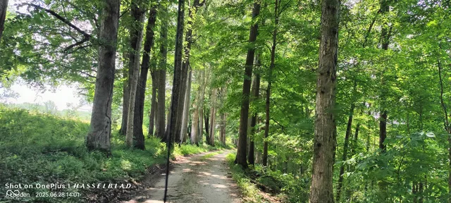 $2,500,000 | 11182 South County Road 280 West, Westport, IN 47283