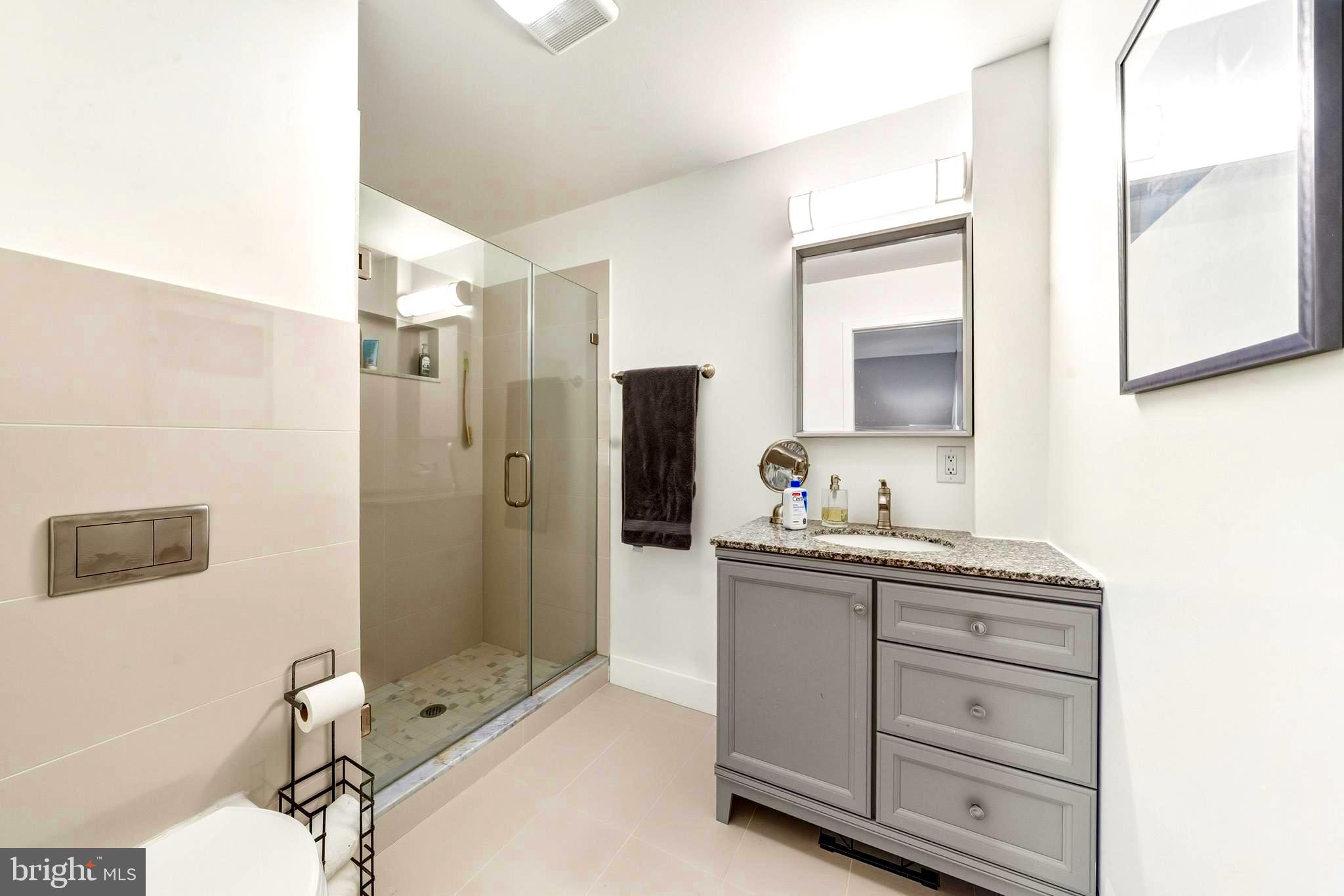 1 Barrick Road Woodsboro, MD 21798 - Photo 19 of 38 View of Primary Bathroom (main level)