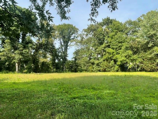 0 East View Drive Bostic, NC 28018 - Photo 6 of 6