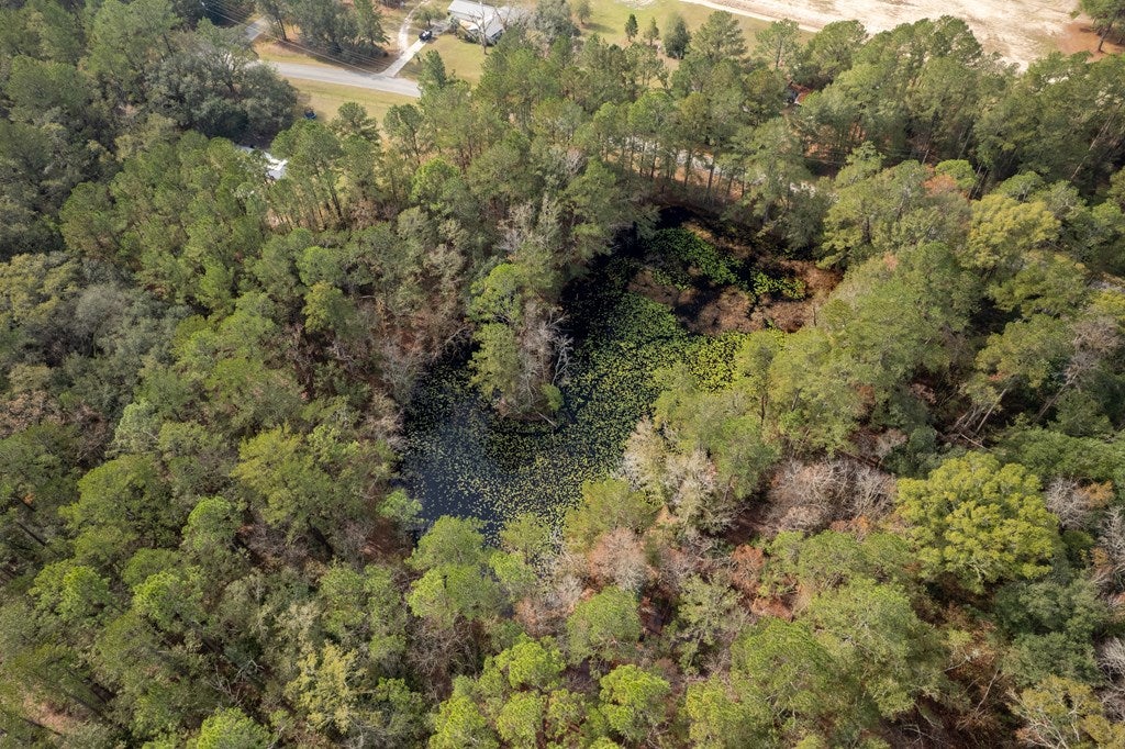 5658 Snake Nation Road Hahira, GA 31632 - Photo 3 of 5 Gallery Image 3