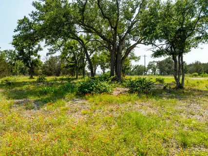 a view of backyard with green space