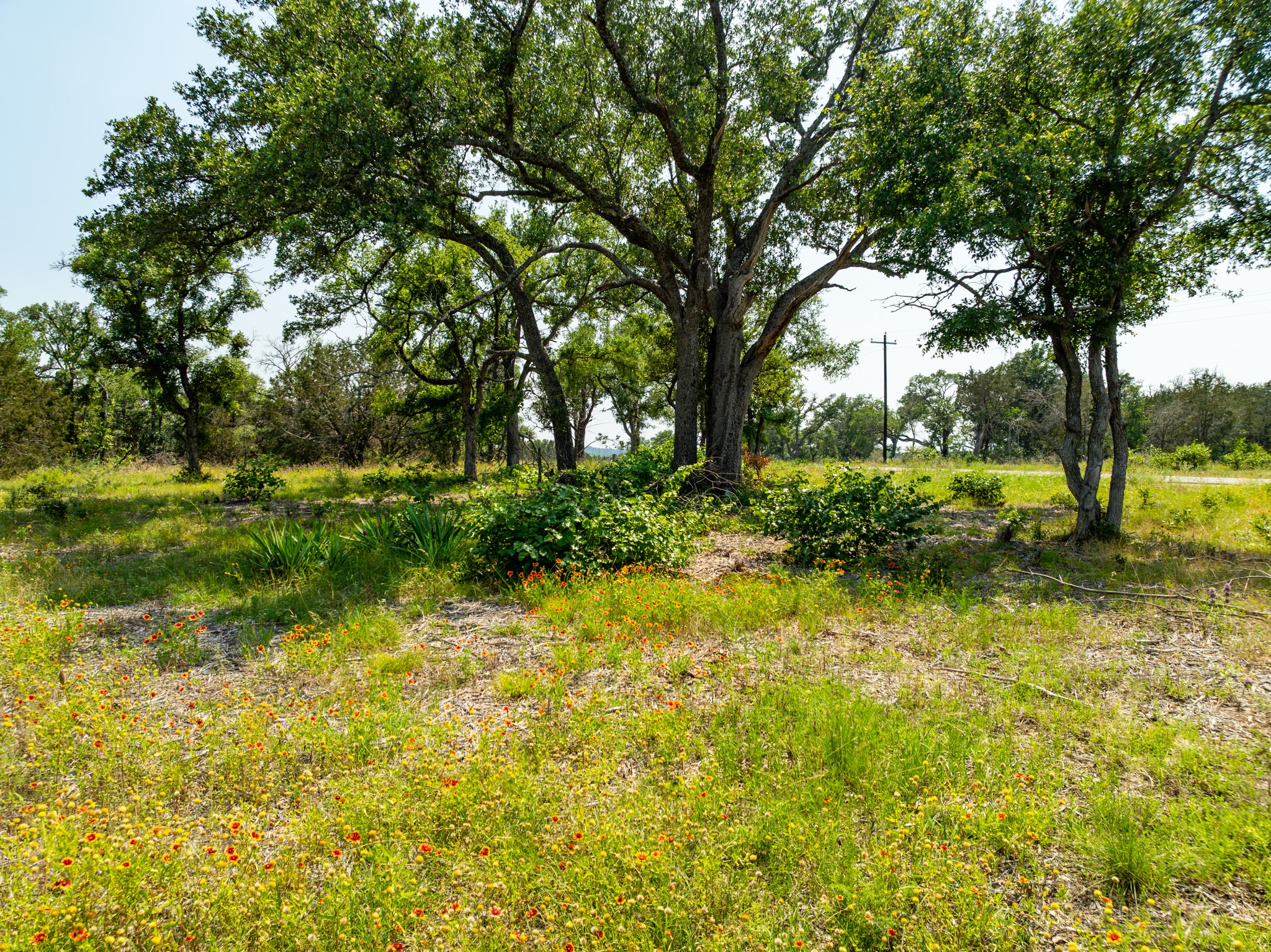 Tbd Tbd Pitchfork Ranch Road Copperas Cove, TX 76522 - Photo 8 of 35 a view of backyard with green space