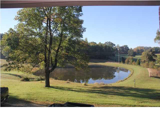23796 Odell Road St. Croix, IN 47576 - Photo 18 of 19