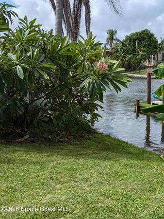 a view of a back yard