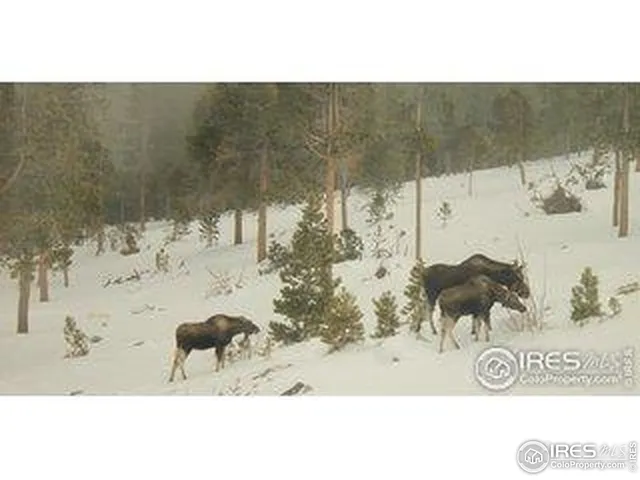 $2,445,000 | 200 Kimwood Road, Black Hawk, CO 80422