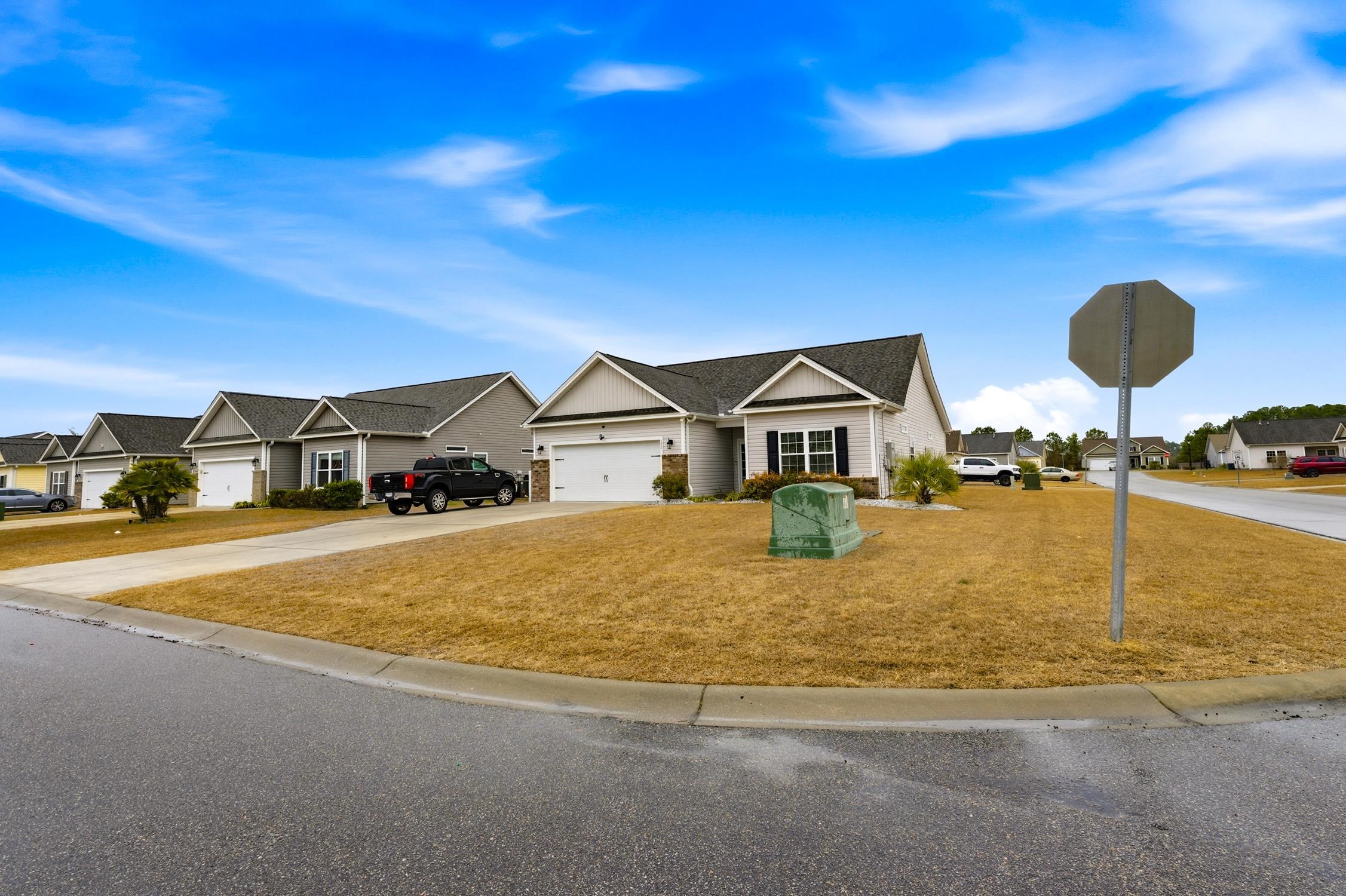 171 Palm Terrace Loop Conway, SC 29526 - Photo 2 of 29 Gallery Image 2