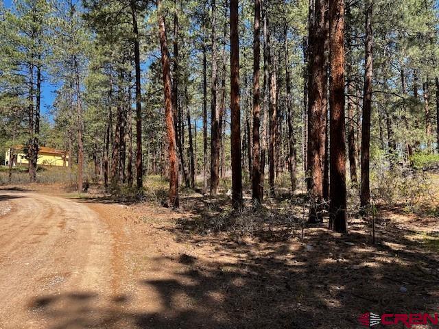 221 Badger Road Bayfield, CO 81122 - Photo 8 of 10 Gallery Image 8