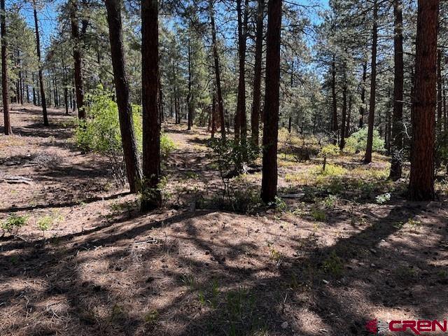 221 Badger Road Bayfield, CO 81122 - Photo 9 of 10 Gallery Image 9