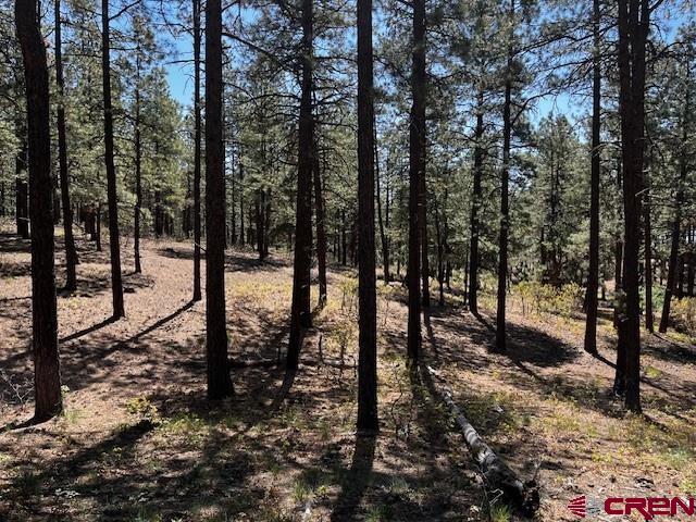 221 Badger Road Bayfield, CO 81122 - Photo 10 of 10 Gallery Image 10