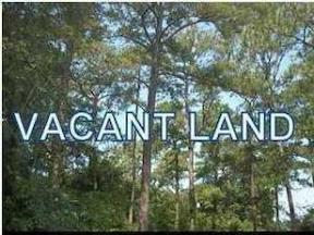 Vacant Land Pic 1