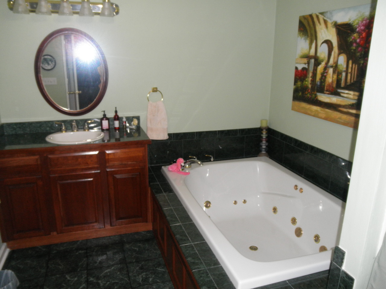 9316 Stewartsville Road Moneta, VA 24121 - Photo 21 of 34 a bathroom with a sink and a mirror