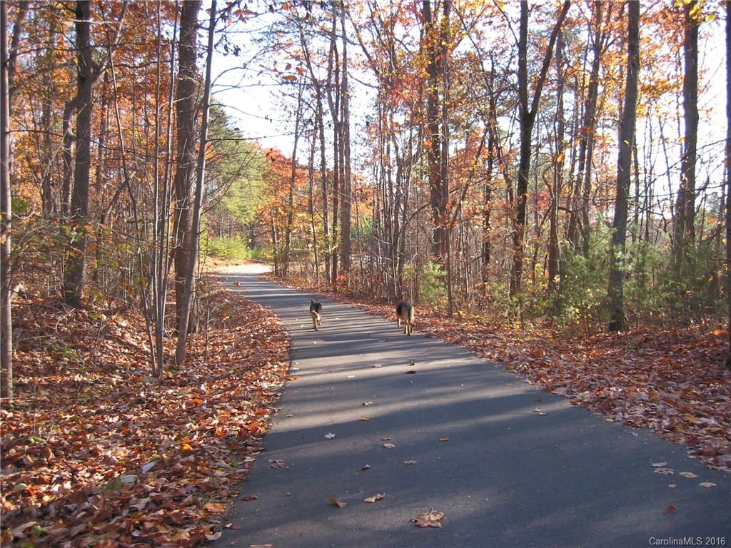 4256 Rugged Hill Road, Unit LOT 13 Maiden, NC 28650 - Photo 10 of 24 Gallery Image 10