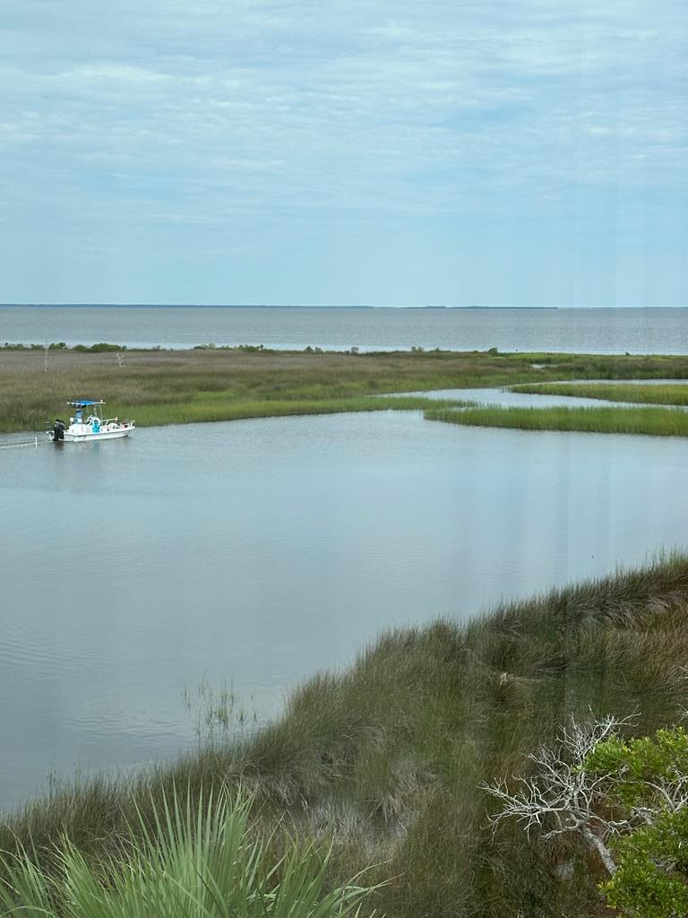 1839 Harbor Light Lane Eastpoint, FL 32328 - Photo 52 of 74