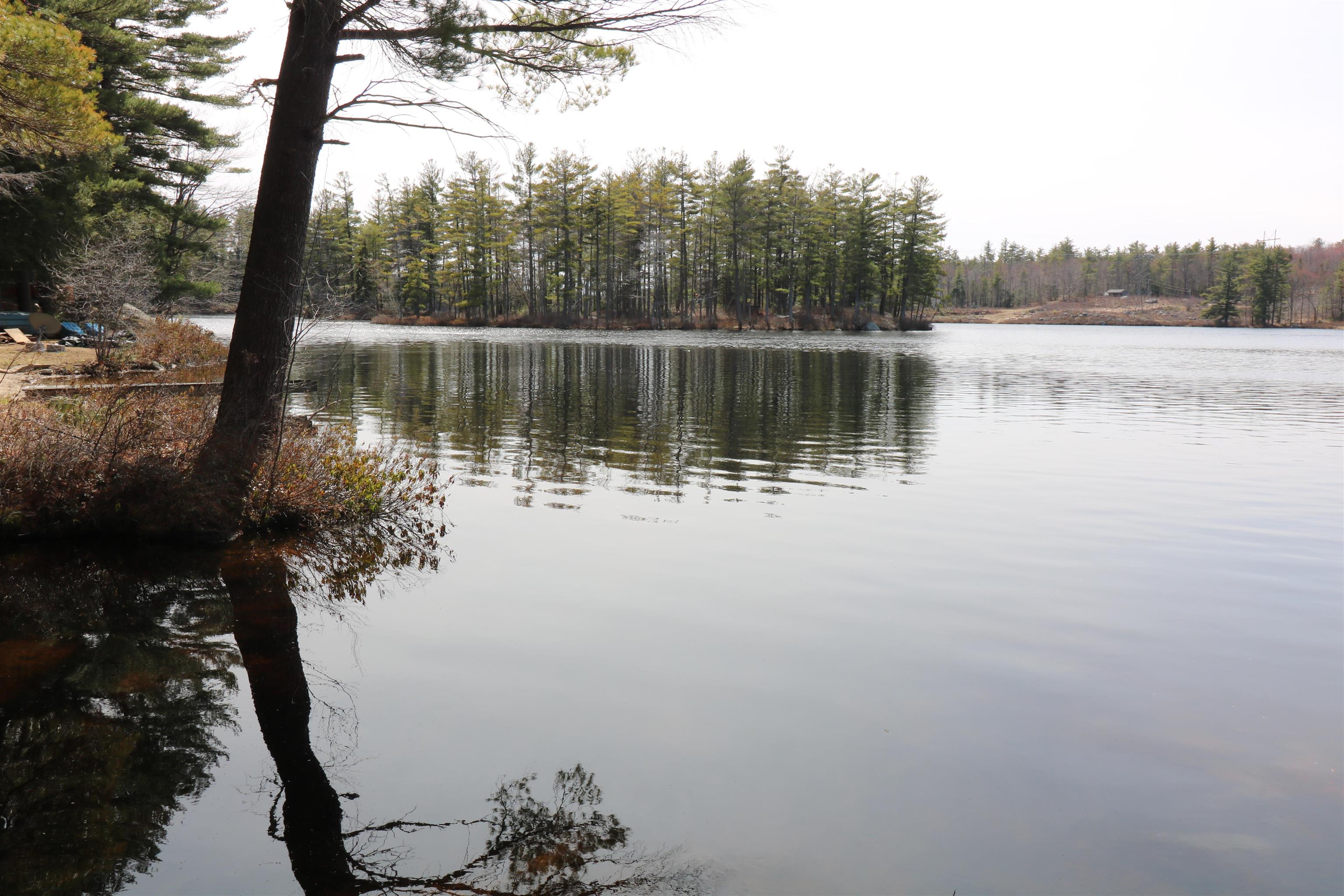 144 Scott Pond Road Fitzwilliam, NH 03447 - Photo 11 of 35