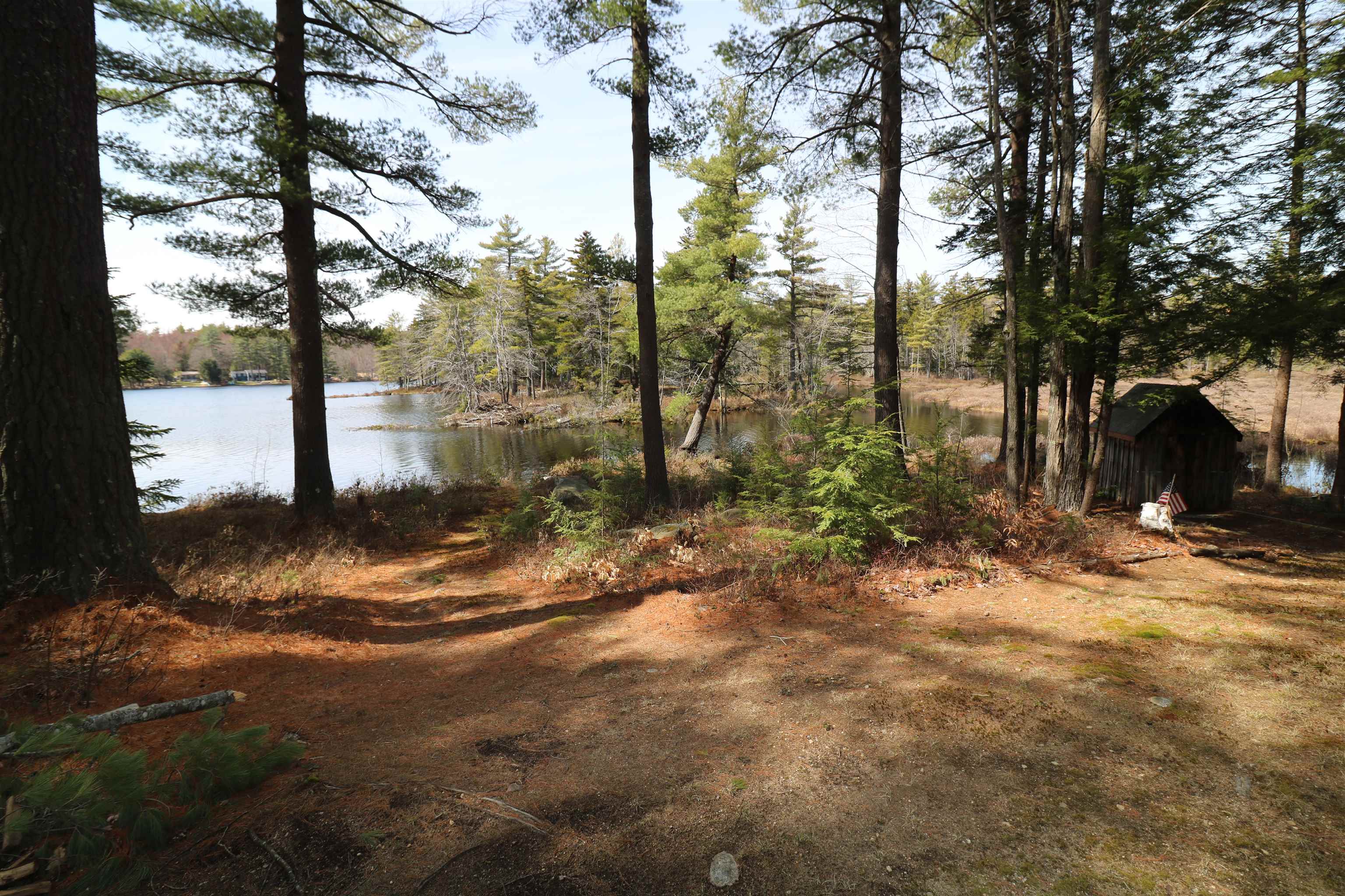 144 Scott Pond Road Fitzwilliam, NH 03447 - Photo 9 of 35
