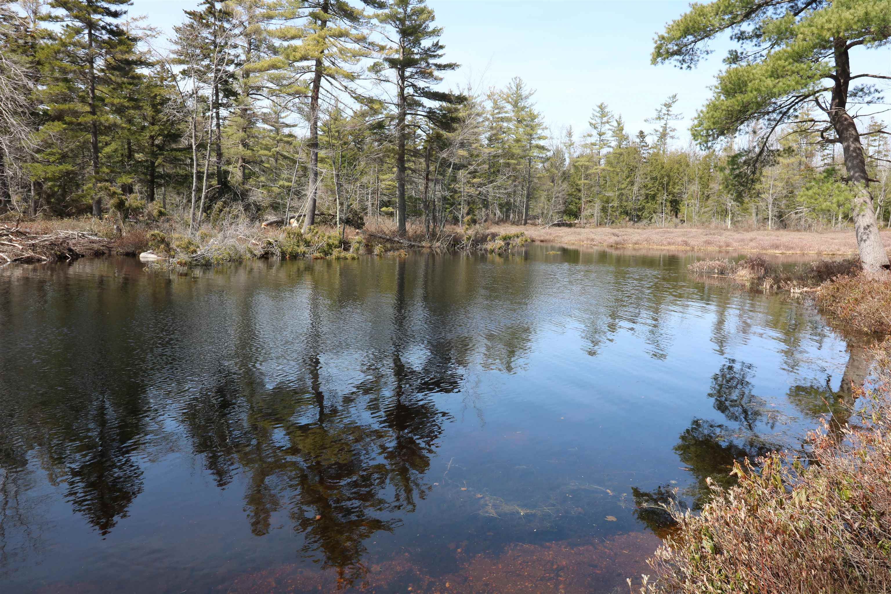 144 Scott Pond Road Fitzwilliam, NH 03447 - Photo 10 of 35