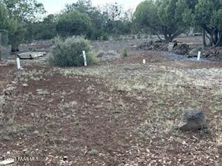 a view of a dry yard with wooden fence