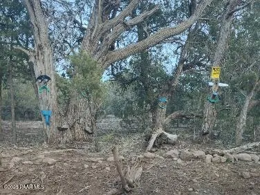 $245,000 | 16432 Incline Trail, Williams, AZ 86046