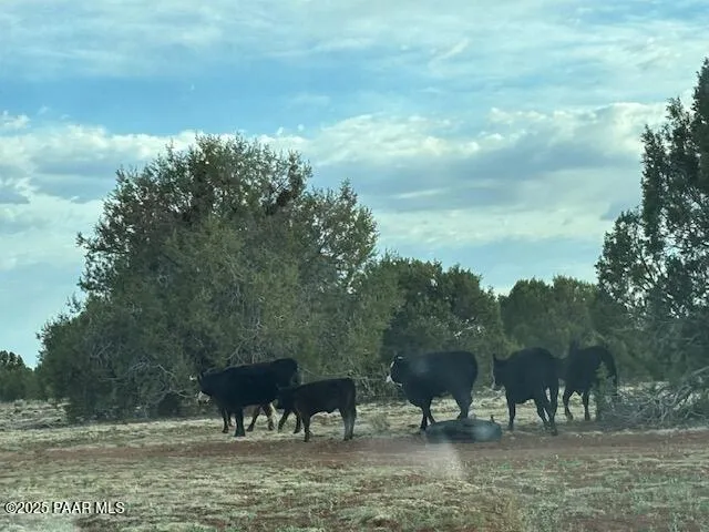 $245,000 | 16432 Incline Trail, Williams, AZ 86046