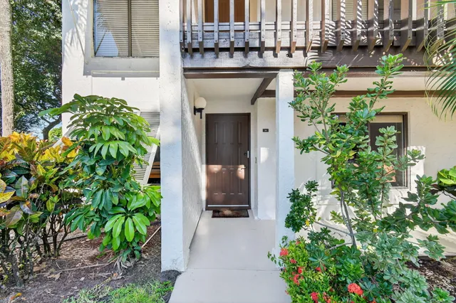 a potted plant sitting in front of a house