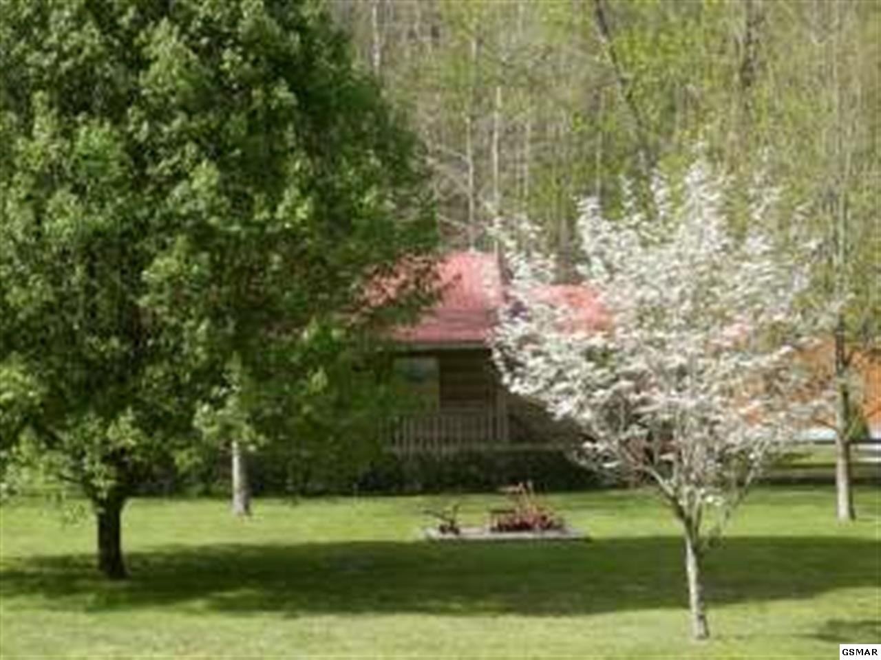 507 Caney Creek Road Cosby, TN 37722 - Photo 1 of 1 Gallery Image 1
