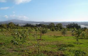 4466 Foothill Road Carpinteria, CA 93013 - Photo 1 of 1 Listing Photo