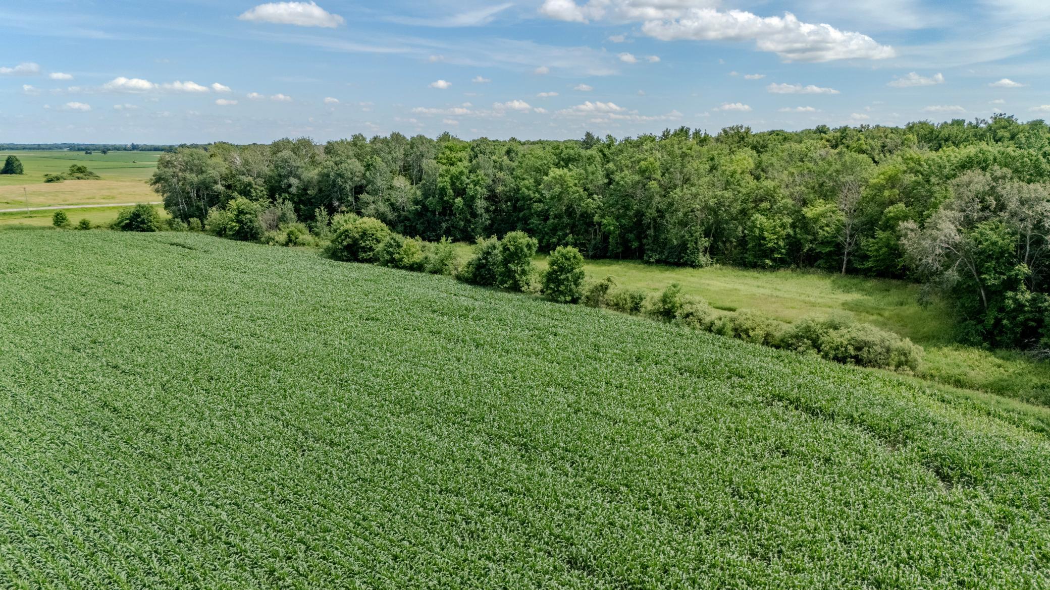 Tbd Cardinal Road Swanville, MN 56382 - Photo 10 of 16