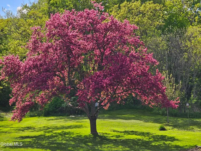 $400,000 | 271 Highway 22A, Middle Granville, NY 12849