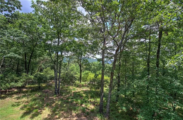 $375,000 | 1379 Little Hendricks Mountain Road, Jasper, GA 30143