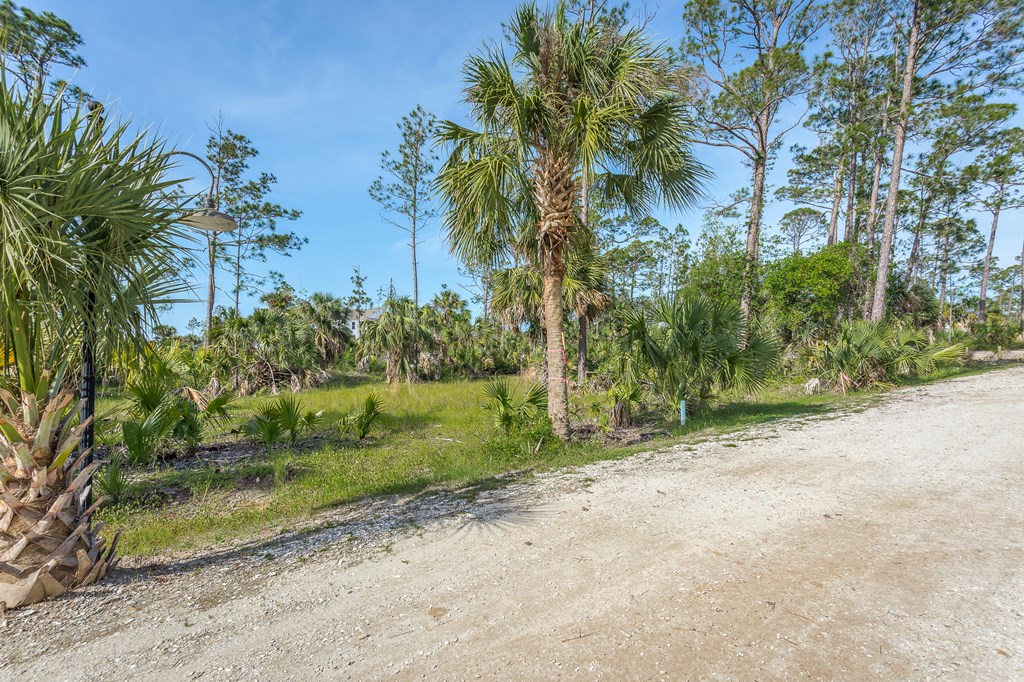 Lot 18 Painted Pony Rd Port Street Port St. Joe, FL 32456 - Photo 2 of 22