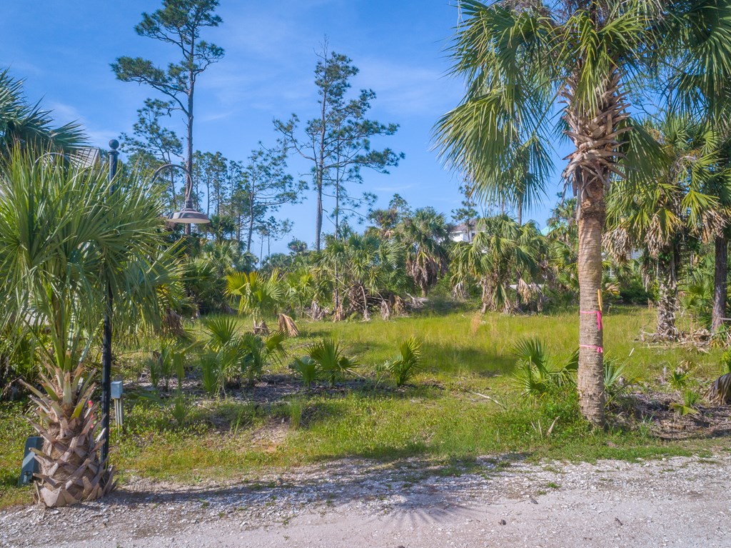 Lot 18 Painted Pony Rd Port Street Port St. Joe, FL 32456 - Photo 4 of 22